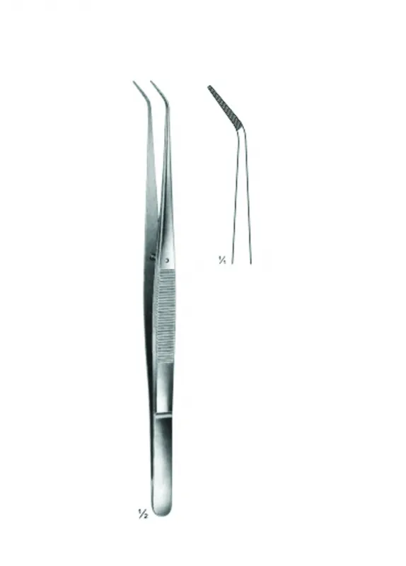 Delicate Dissecting Forceps